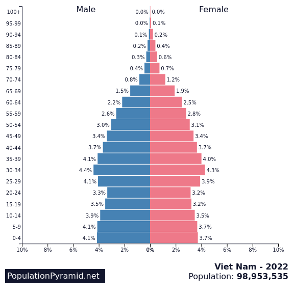 vietnam population pyramid